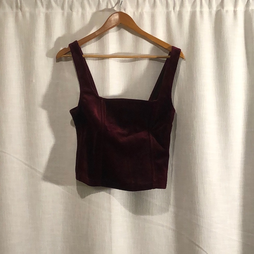 DIARY SECRETS VELVET BUSTIER